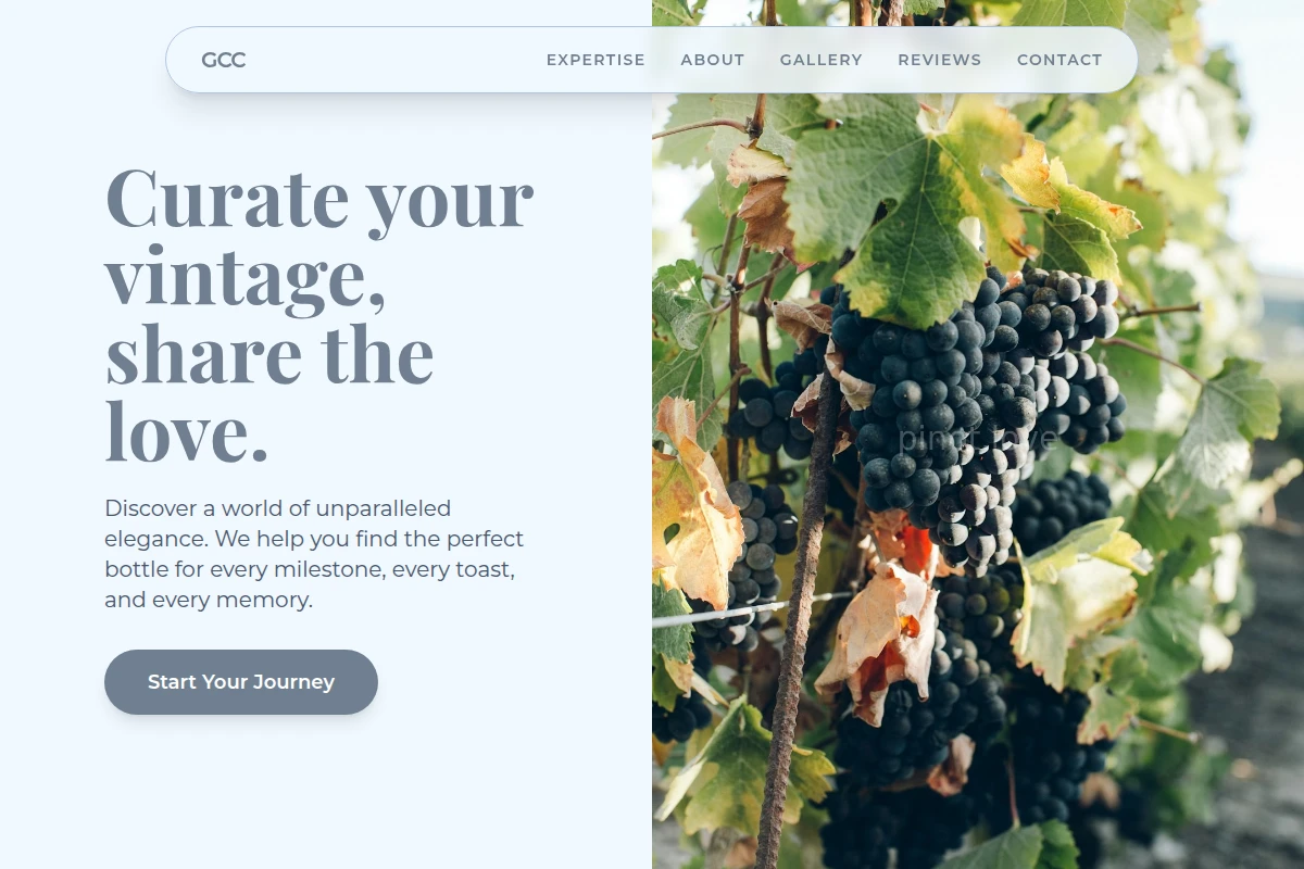 Bold Vineyard